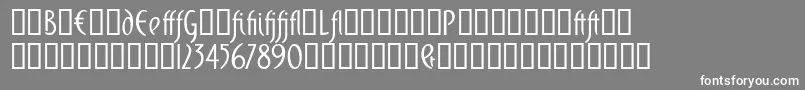 Domingoalt Font – White Fonts on Gray Background