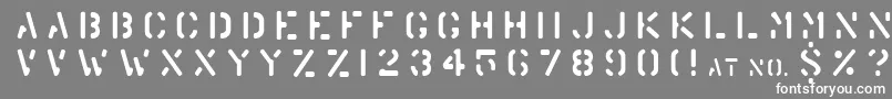 フォントWarehouse – 灰色の背景に白い文字