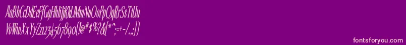Echeloncondensed ffy Font – Pink Fonts on Purple Background