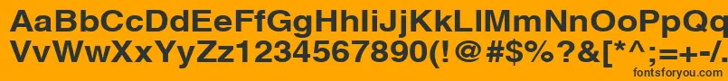 AghlvcyrillicBold115b Font – Black Fonts on Orange Background