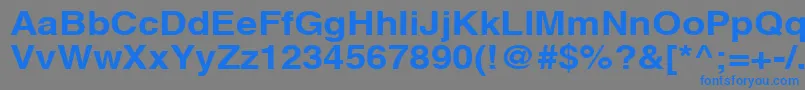AghlvcyrillicBold115b Font – Blue Fonts on Gray Background