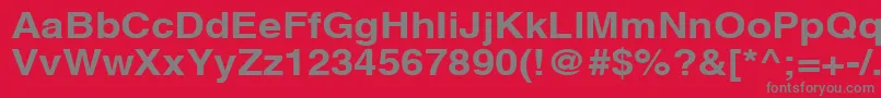 AghlvcyrillicBold115b Font – Gray Fonts on Red Background
