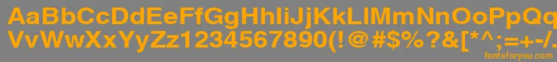 AghlvcyrillicBold115b Font – Orange Fonts on Gray Background