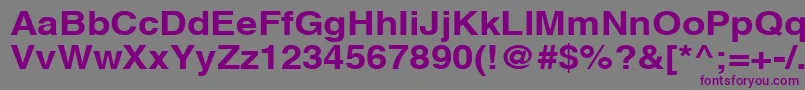 AghlvcyrillicBold115b Font – Purple Fonts on Gray Background