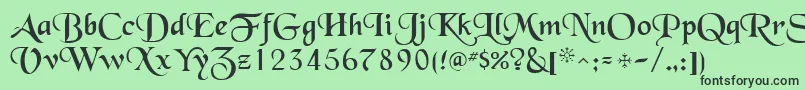 QtblackforestRegular Font – Black Fonts on Green Background