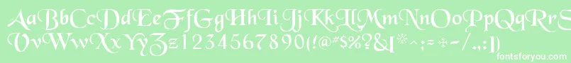 QtblackforestRegular Font – White Fonts on Green Background