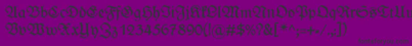 WieynckfrakturRegularunz1l Font – Black Fonts on Purple Background