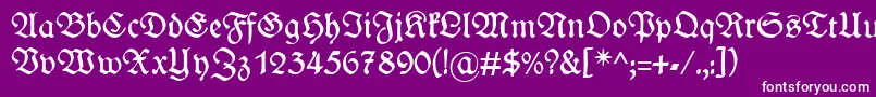 WieynckfrakturRegularunz1l Font – White Fonts on Purple Background