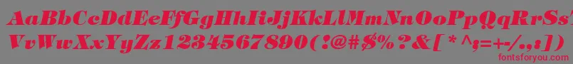 SophisticateBlackSsiBoldItalic-Schriftart – Rote Schriften auf grauem Hintergrund