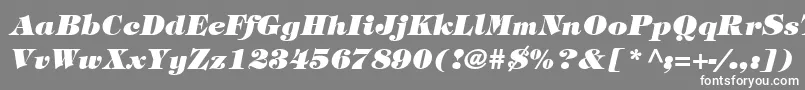 SophisticateBlackSsiBoldItalic Font – White Fonts on Gray Background