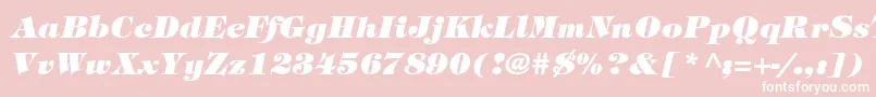 SophisticateBlackSsiBoldItalic Font – White Fonts on Pink Background
