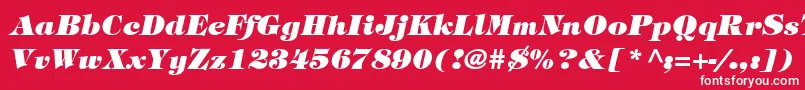 SophisticateBlackSsiBoldItalic Font – White Fonts on Red Background