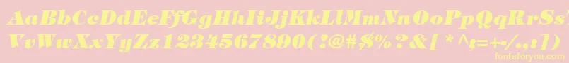 SophisticateBlackSsiBoldItalic Font – Yellow Fonts on Pink Background