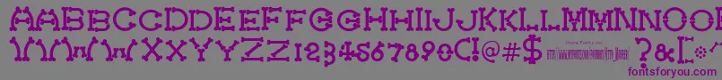 フォントBonecracker – 紫色のフォント、灰色の背景