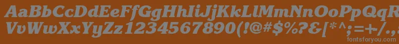 Karlajohnson8Heavycursivesh Font – Gray Fonts on Brown Background
