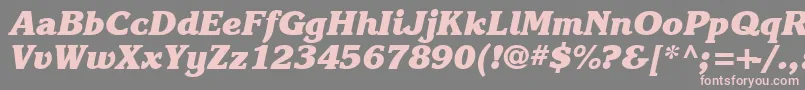 フォントKarlajohnson8Heavycursivesh – 灰色の背景にピンクのフォント