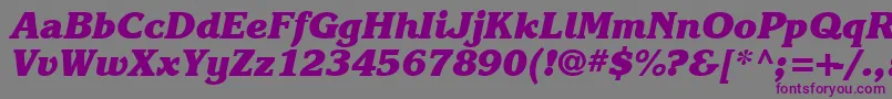 Шрифт Karlajohnson8Heavycursivesh – фиолетовые шрифты на сером фоне