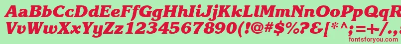 Karlajohnson8Heavycursivesh Font – Red Fonts on Green Background