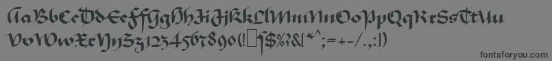 MaGkursiv1 Font – Black Fonts on Gray Background