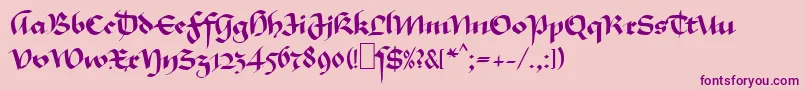 MaGkursiv1 Font – Purple Fonts on Pink Background