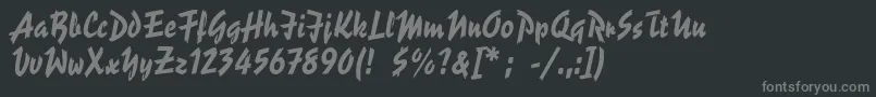 ReporterLt2-Schriftart – Graue Schriften auf schwarzem Hintergrund