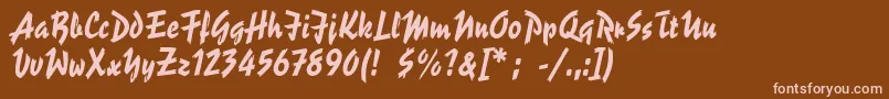 ReporterLt2 Font – Pink Fonts on Brown Background
