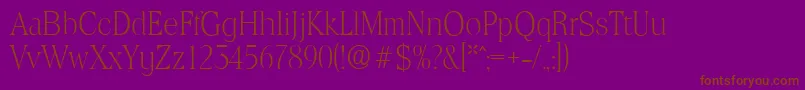 ToledoserialXlightRegular Font – Brown Fonts on Purple Background