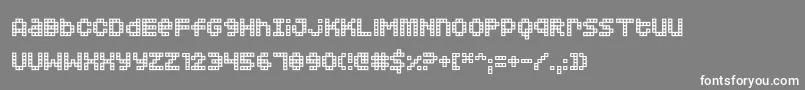 Squarodynamic02 Font – White Fonts on Gray Background