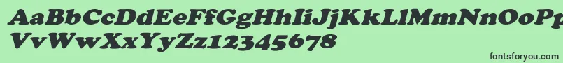 CooperextoblHeavy Font – Black Fonts on Green Background