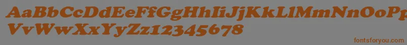 CooperextoblHeavy Font – Brown Fonts on Gray Background
