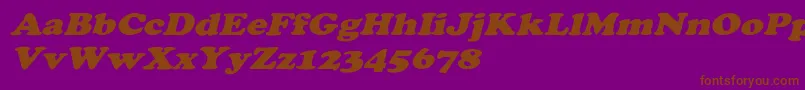 CooperextoblHeavy Font – Brown Fonts on Purple Background