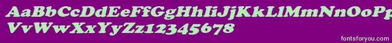 CooperextoblHeavy Font – Green Fonts on Purple Background