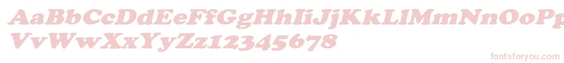 CooperextoblHeavy Font – Pink Fonts on White Background