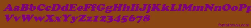 CooperextoblHeavy Font – Purple Fonts on Brown Background