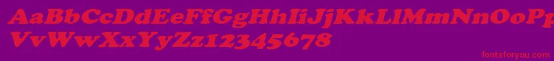 CooperextoblHeavy Font – Red Fonts on Purple Background