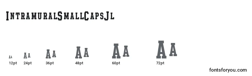 Размеры шрифта IntramuralSmallCapsJl
