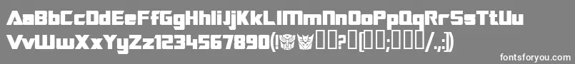 TransroboticsBold Font – White Fonts on Gray Background