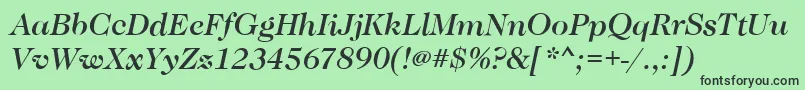 CaslonMediumItalic Font – Black Fonts on Green Background