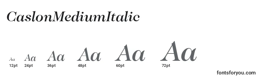 Размеры шрифта CaslonMediumItalic