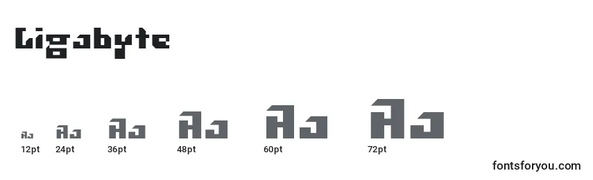 Gigabyte Font Sizes