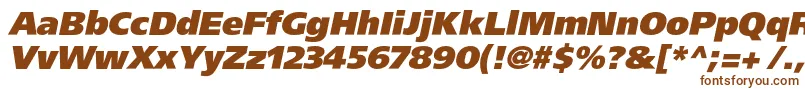 Шрифт AgforeignerxcItalic – коричневые шрифты на белом фоне