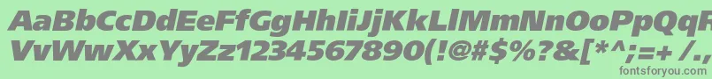 AgforeignerxcItalic Font – Gray Fonts on Green Background