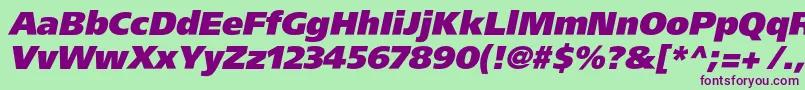 AgforeignerxcItalic Font – Purple Fonts on Green Background