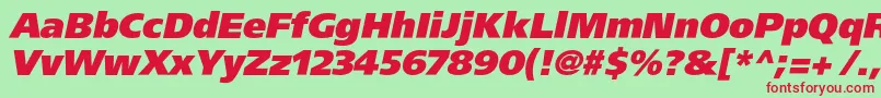 AgforeignerxcItalic Font – Red Fonts on Green Background