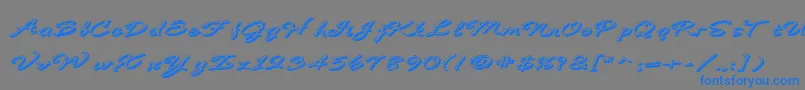 BDeBonitaShadow Font – Blue Fonts on Gray Background