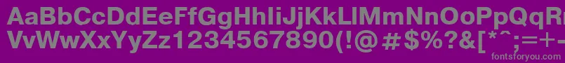 フォントPragmaticaregular.KzBold – 紫の背景に灰色の文字