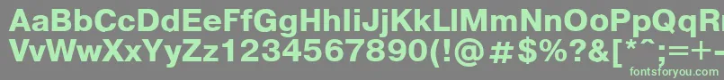 Pragmaticaregular.KzBold Font – Green Fonts on Gray Background