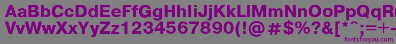 Pragmaticaregular.KzBold Font – Purple Fonts on Gray Background