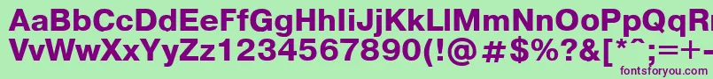 Pragmaticaregular.KzBold Font – Purple Fonts on Green Background