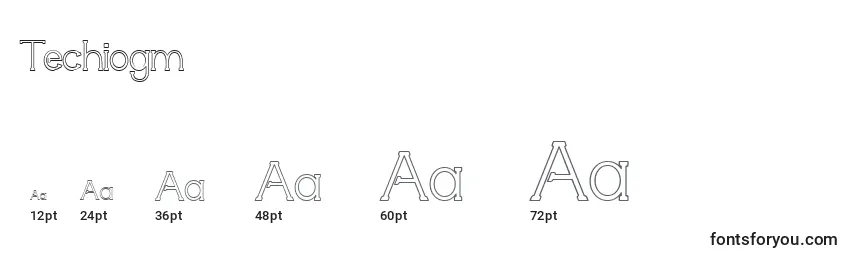 Techiogm Font Sizes